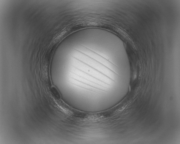 X0000051250489200507082154