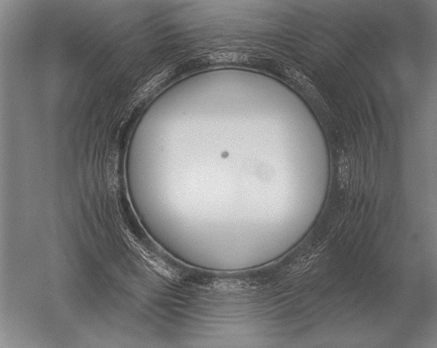 X0000051250490200507082154