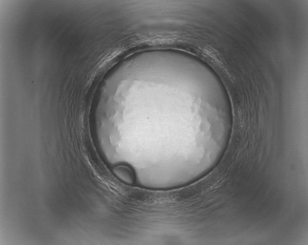 X0000051250491200507082154