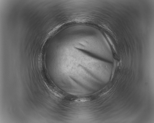 X0000051250492200507082154