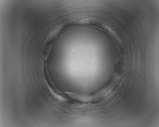 X0000051250493200507082154