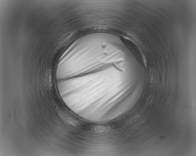 X0000051250494200507082154