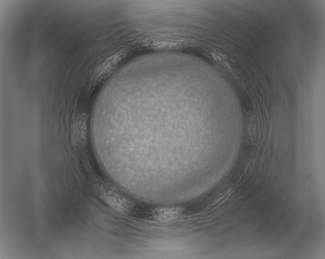 X0000051250495200507082154