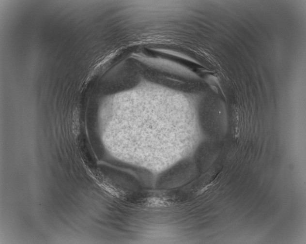 X0000051250496200507082154