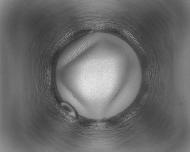 X0000051250497200507082154