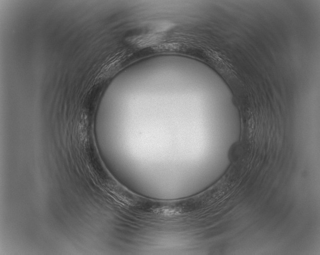 X0000051250498200507082154