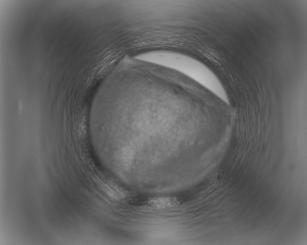 X0000051250499200507082154