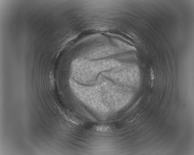 X0000051250500200507082154