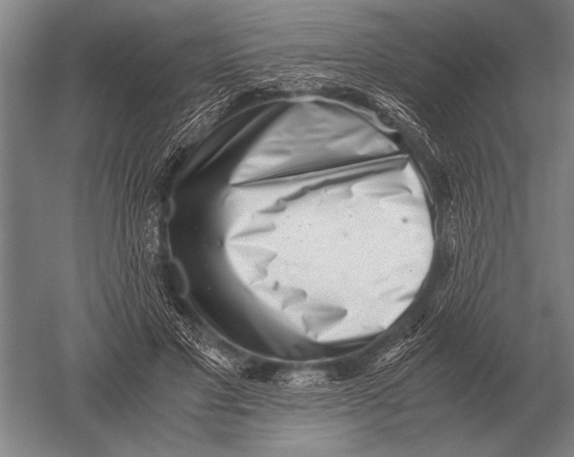 X0000051250501200507082154