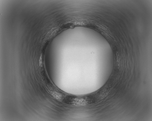 X0000051250502200507082154