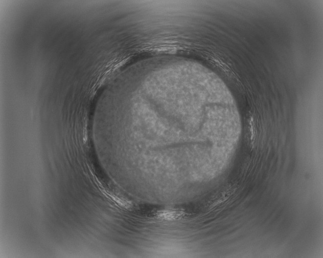 X0000051250504200507082154