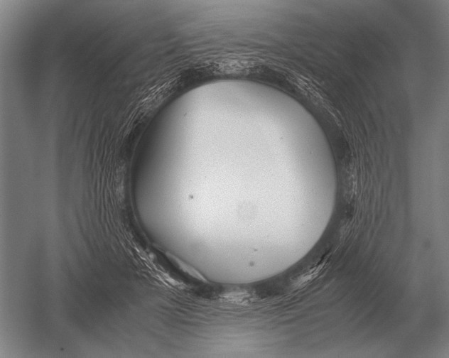 X0000051250505200507082154