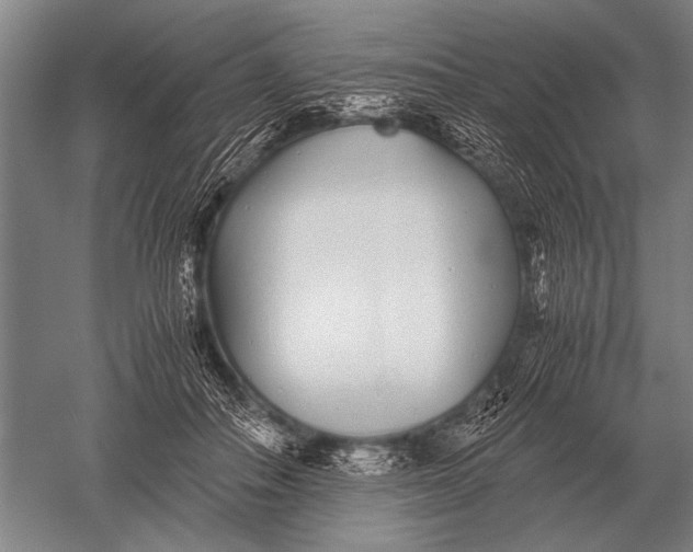 X0000051250506200507082154