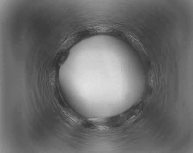 X0000051250509200507082154