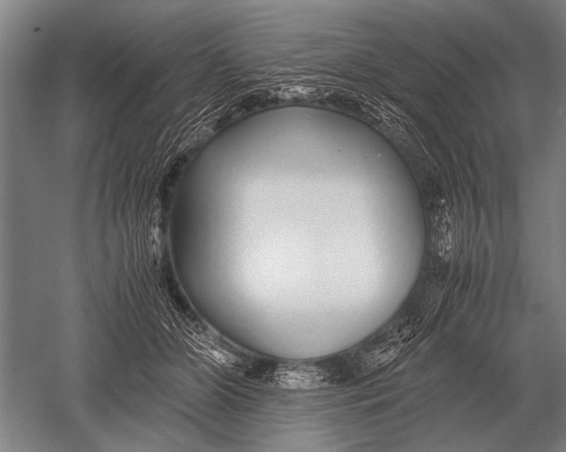 X0000051250510200507082154