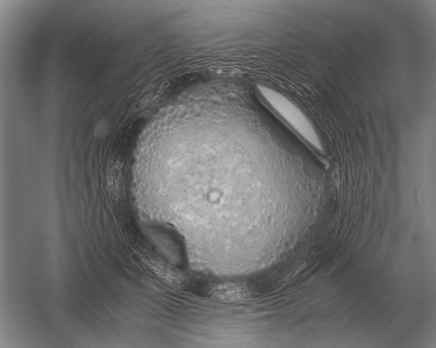 X0000051250511200507082154