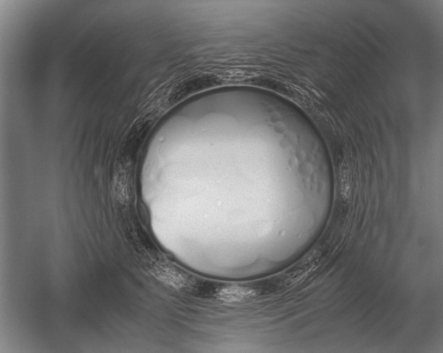 X0000051250515200507082153