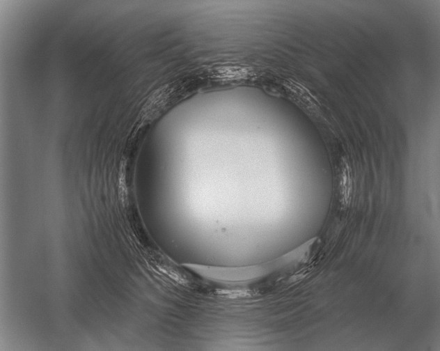 X0000051250516200507082153