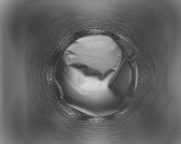 X0000051250517200507082153