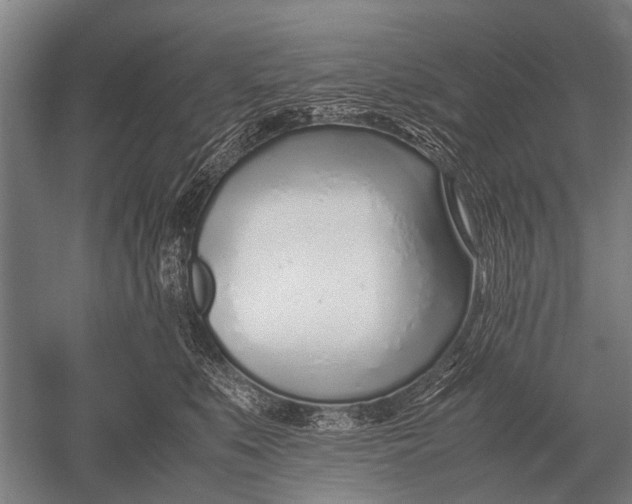 X0000051250519200507082153