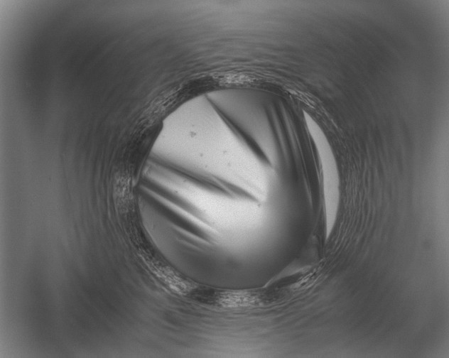 X0000051250521200507082153