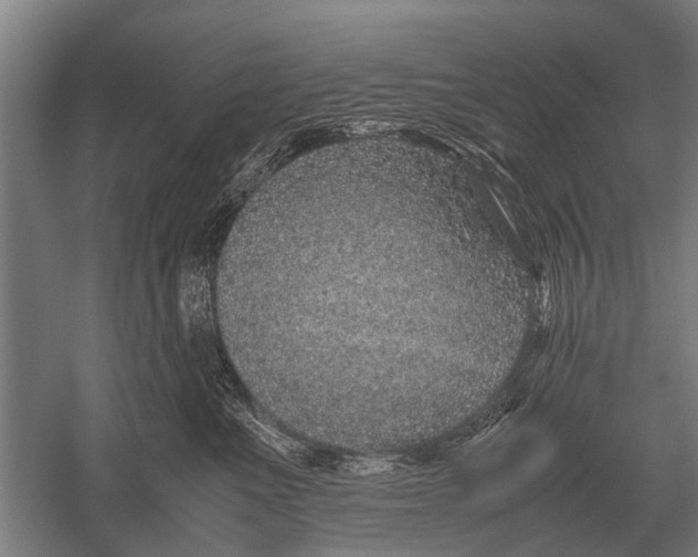 X0000051250523200507082153