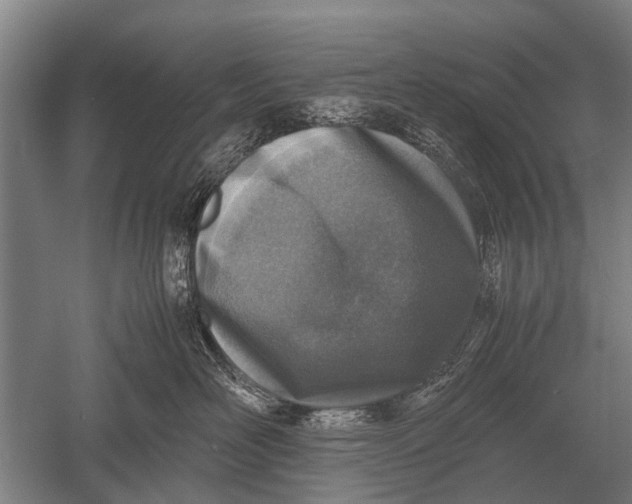 X0000051250526200507082153