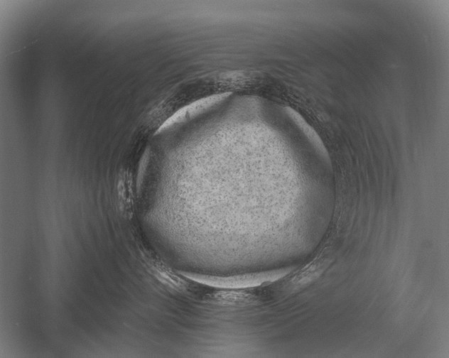 X0000051250528200507082153