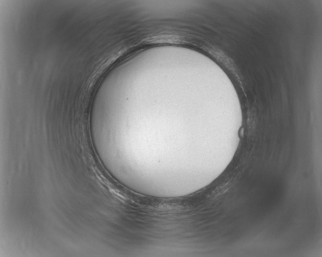 X0000051250529200507082152