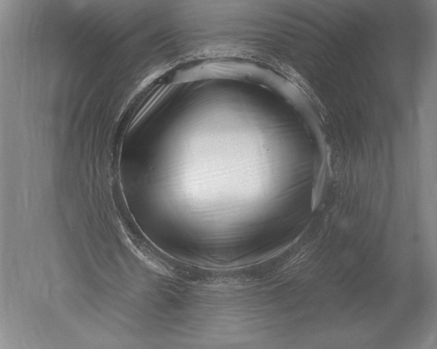 X0000051250530200507082152