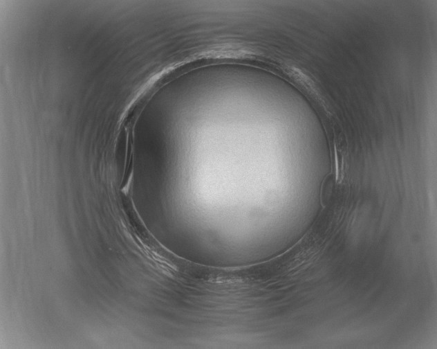 X0000051250531200507082152