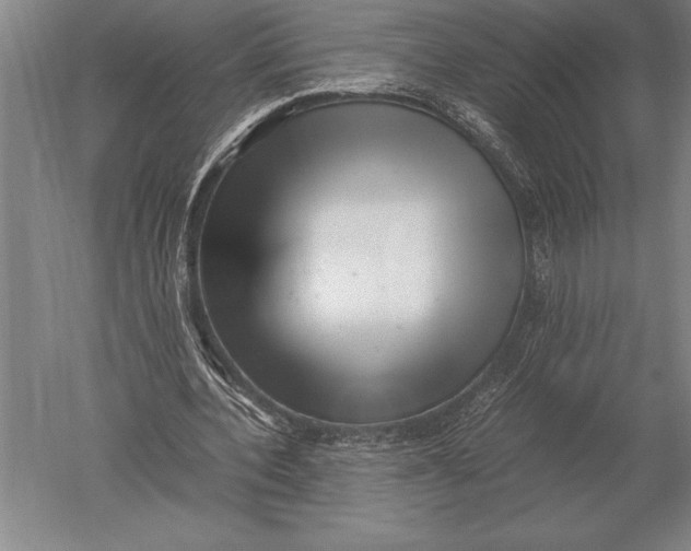 X0000051250532200507082152