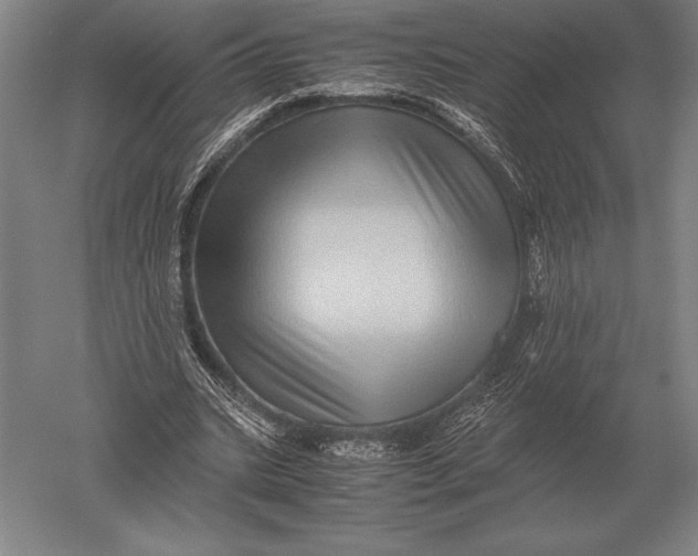 X0000051250535200507082153