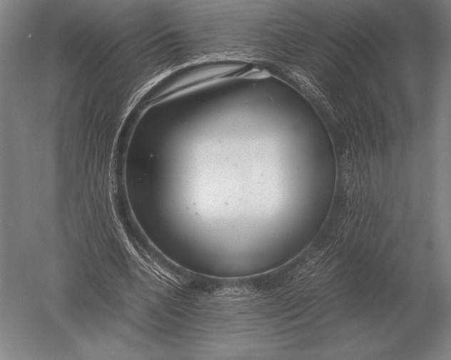 X0000051250536200507082153