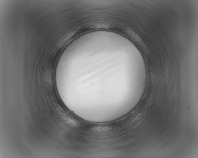 X0000051250537200507082153