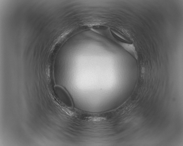 X0000051250539200507082153