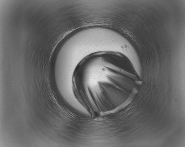 X0000051250540200507082153