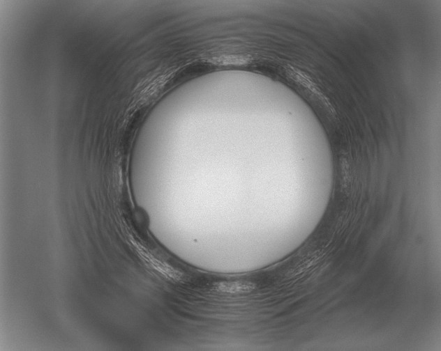 X0000051250541200507082153