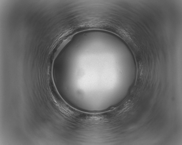 X0000051250542200507082153