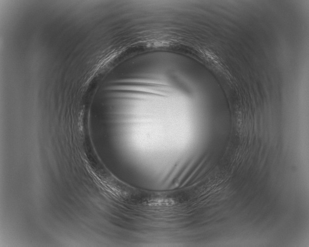 X0000051250543200507082153