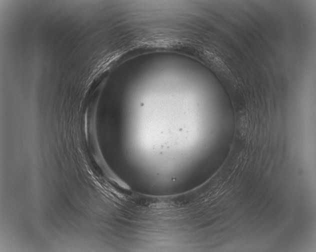 X0000051250544200507082153