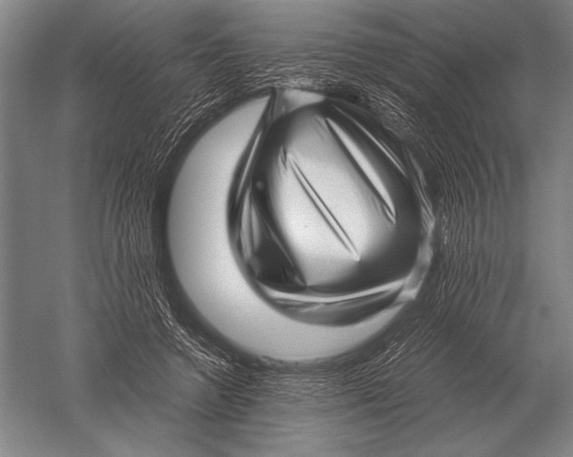 X0000051250546200507082153