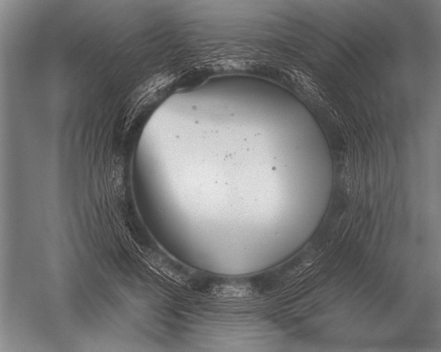 X0000051250548200507082153