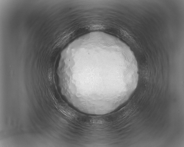 X0000051250549200507082153