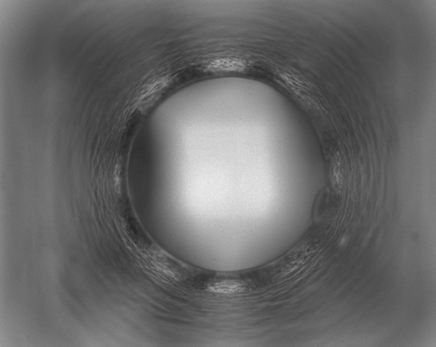 X0000051250551200507082153