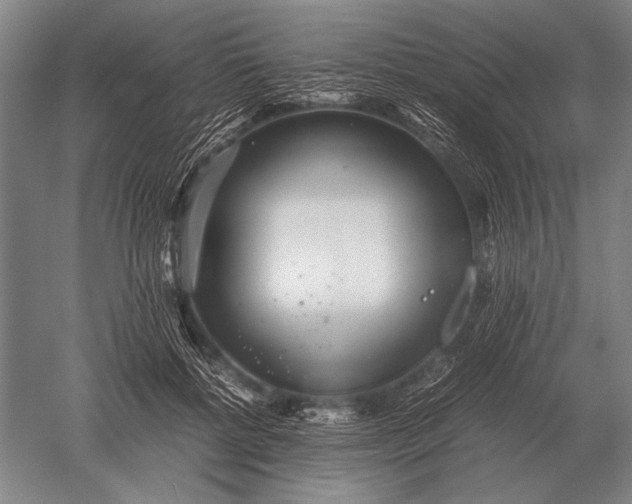 X0000051250552200507082153