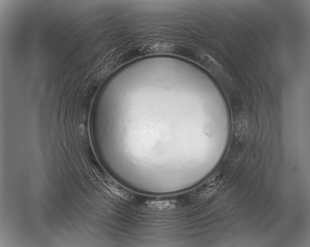 X0000051250553200507082153