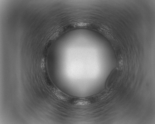 X0000051250555200507082153