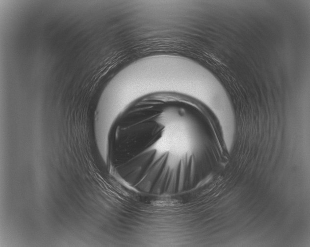 X0000051250556200507082153