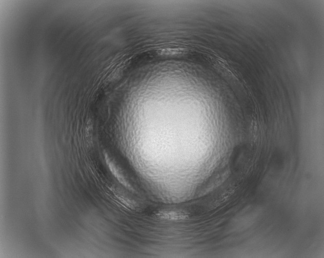 X0000051250557200507082153